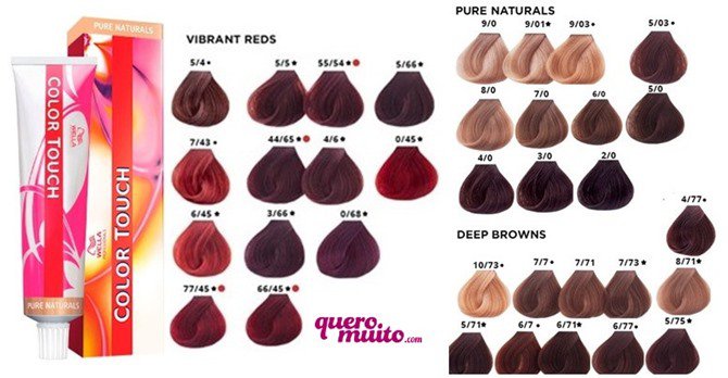 pintar o Cabelo Poroso pintar o Cabelo Poroso